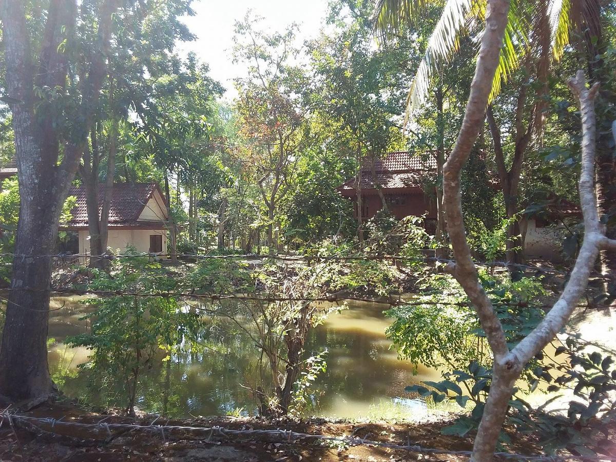 Your Home In Mae Rim Ban Muang Pha Esterno foto